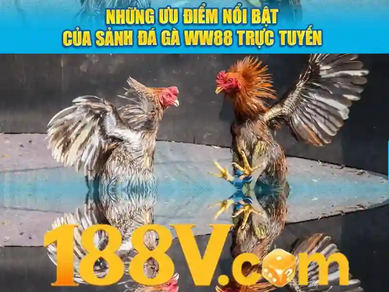  188v nhà cái - 188V - bigtitsandass.net