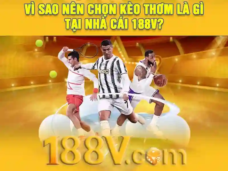  điều khoản - 188V - bigtitsandass.net